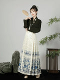 Hanfu Original Chinese Horse Face Skirt Ming Dynasty Woman Chinese Traditional Embroidered Skirt Autumn Horse Face Pony Skirt