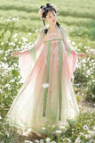 Chinese Traditional Hanfu Costume Woman Ancient Han Dynasty Dress Oriental Princess Dress Lady Elegance Tang Dynasty Dance Wear
