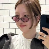 Kukombo Glasses with oval small frame, retro sunglasses, leopard print, Korean style plain faced flat lenses