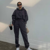 Women's Tracksuit Casual Solid Long Sleeve Hooded Sport Suits Autumn Warm Hoodie Sweatshirts and Long Pant Fleece Two Piece Sets