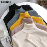 Christmas Gift 2021 Knitted Women turtleneck Sweater Pullovers spring Autumn Basic Women high neck Sweaters Pullover Slim female cheap top