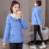 Christmas Gift 2021 New Women Parka Winter Jacket Long Sleeve Hooded Short Coat Female Cotton Padded Parkas Casual Student Basic Jackets