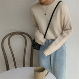Christmas Gift BGTEEVER Basic O-neck Knitted Jumpers for Women Sweater Casual Loose Long Sleeve Winter Sweater Female Pullovers Streetwear