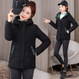 Christmas Gift 2021 New Women Parka Winter Jacket Long Sleeve Hooded Short Coat Female Cotton Padded Parkas Casual Student Basic Jackets