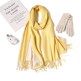 Christmas Gift Hot 2021 Winter Scarf Double Side Women's Scarves Fashion Warm And Soft Cashmere Scarf Lady Shawls Pashmina Foulard Tassel