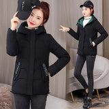 Christmas Gift 2021 New Women Parka Winter Jacket Long Sleeve Hooded Short Coat Female Cotton Padded Parkas Casual Student Basic Jackets