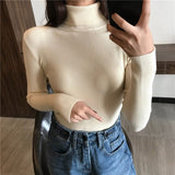 Christmas Gift 2021 Autumn New Slim Long Sleeve Jumper Women Turtleneck Knitted Pullover Winter Sweater Women Soft Warm Sweater Pull Femme 6897