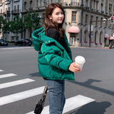 Christmas Gift Winter Down Padded Jacket Women's Short Korean Style Loose Bread Coat Cotton Jacket Small Padded Jacket Tide Winter Clothes