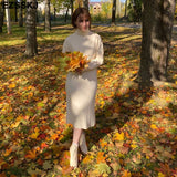Christmas Gift 2021 Autumn Winter long thick Sweater Dress Women turtleneck long Sleeve straight maix Dress female girl warm long dress