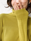 Black Friday Sales Autumn Winter Sweater Ladies Cashmere Collar Pullover Long Sleeve Slim High Neck Solid Color Knit Sweater Inside Street Jumper
